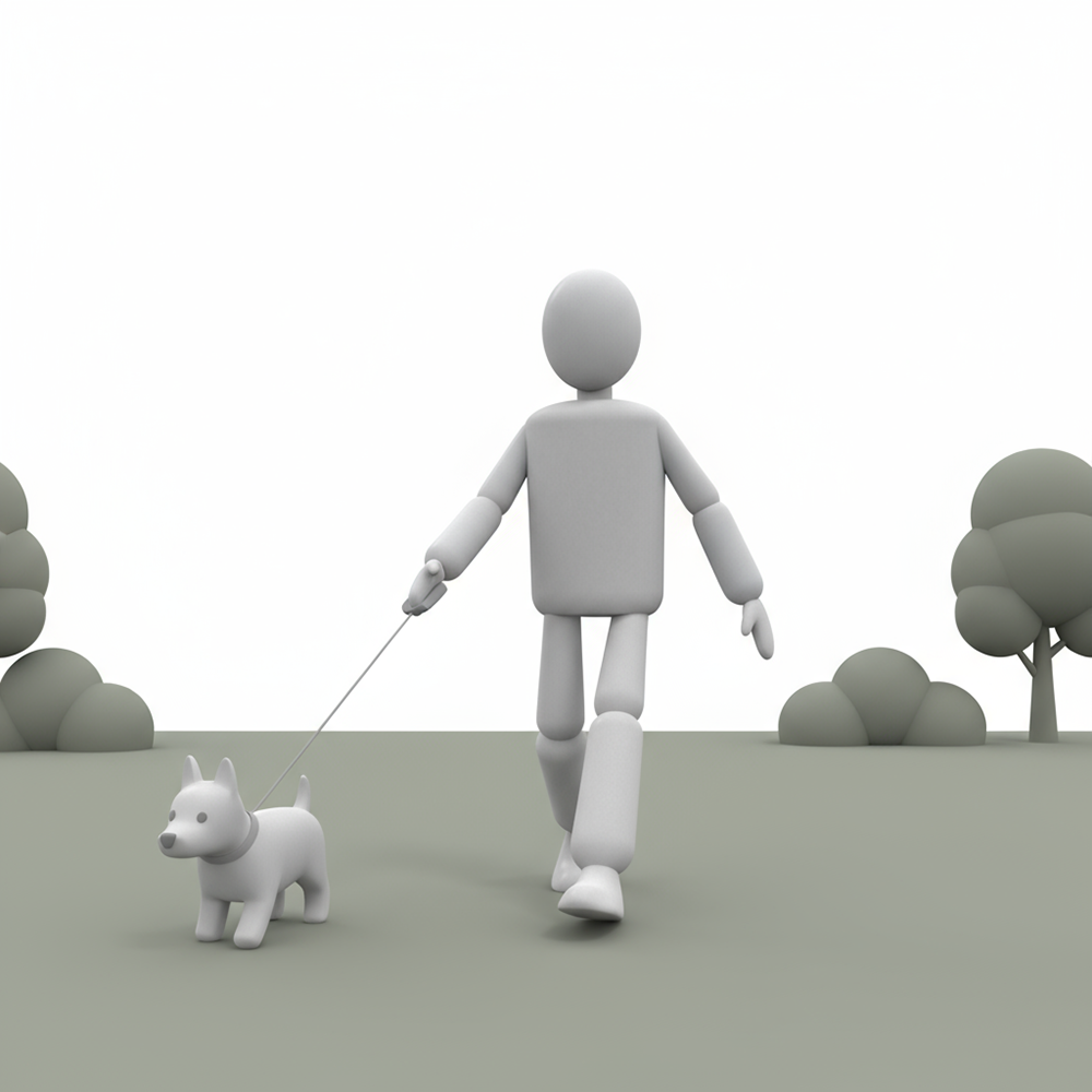 Person Walking a Dog